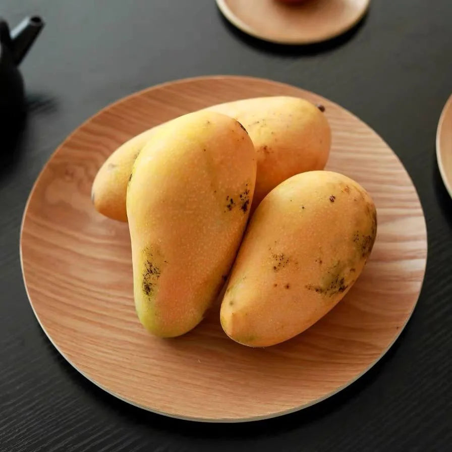 Set of 6 Modern Dinner Plates