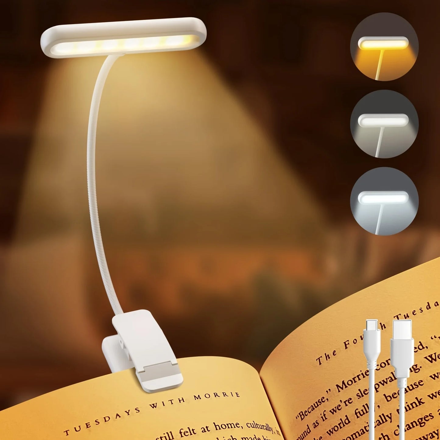 Clip-On LED Reading Light
